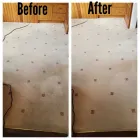 Business 28 image ACE CARPET CLEANERS Industries & Agriculture in Dublin IE


