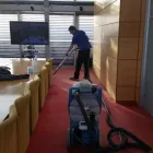 Business 33 image ACE CARPET CLEANERS Industries & Agriculture in Dublin IE


