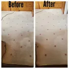 Business 12 image ACE CARPET CLEANING DUBLIN Cleaning & Maintenance Service in Dublin D