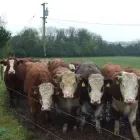Business 3 image ANTHONY & ASSOCIATES LTD Industries & Agriculture in Cork CO