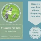 Business 4 image AUTHENTIC REFLEXOLOGY Reflexologists in Carlow IE


