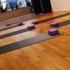 Business 1 image BACK 2 BASICS YOGA & FITNESS STUDIO Yoga in Kilkenny KK