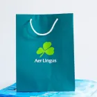 Business 4 image BAGS.IE (TS OCONNOR & SON LTD) Paper Products in Sandyford D