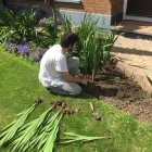 Business 1 image BEAUTIFUL GARDEN Tree Work & Forestry Services in Dublin IE


