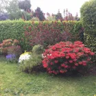 Business 7 image BEAUTIFUL GARDEN Tree Work & Forestry Services in Dublin IE


