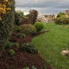 Business 8 image BEAUTIFUL GARDEN Tree Work & Forestry Services in Dublin IE


