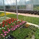 Business 4 image BEECHDALE GARDEN CENTRE Tool Design & Manufacture in Wexford WX