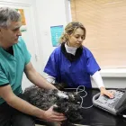 Business 1 image BRAYVET LTD Veterinarians in Bray WW