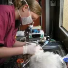 Business 2 image BRAYVET LTD Veterinarians in Bray WW