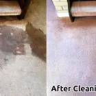 Business 1 image CLEANING DOCTOR CARPET & UPHOLSTERY SERVICES MAYO Carpet, Curtain & Upholstery Cleaners in Mayo D