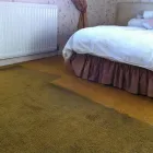 Business 8 image CLEANING DOCTOR CARPET & UPHOLSTERY SERVICES MAYO Carpet, Curtain & Upholstery Cleaners in Mayo D