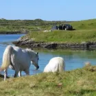 Business 21 image CLIFDEN ECO BEACH CAMPING & CARAVANNING PARK Travel & Tourism in Clifden G