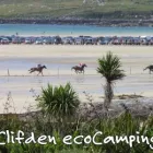 Business 1 image CLIFDEN ECO BEACH CAMPING & CARAVANNING PARK Travel & Tourism in Clifden G