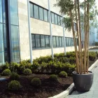 Business 2 image CONNAUGHTON & SONS LANDSCAPING LTD Real Estate & Home Improvement in Galway G