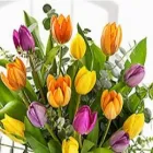 Business 5 image CREATIVE FLOWERS Shopping in Dublin IE


