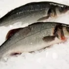 Business 3 image DALY'S SEAFOOD LTD Food & Beverage in Portlaoise LS