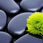Business 3 image DEIRDRE REDMOND COUNSELLOR & PSYCHOTHERAPIST NAVAN Psychotherapists in Navan MH