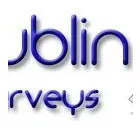 Business 3 image DUBLIN SURVEYS Surveyors in Dublin D