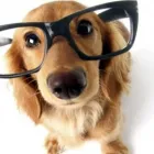 Business 2 image FETCH in Dublin IE


