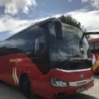 Business 4 image FINNEGAN BRAY Travel & Tourism in Bray WW