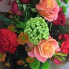 Business 1 image FLORAL ESSENCE Shopping in Portlaoise LS