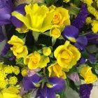 Business 2 image FLORAL ESSENCE Shopping in Portlaoise LS