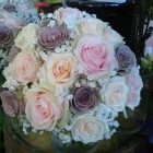 Business 9 image FLOWER POWER FLORIST & GARDEN CENTRE Shopping in Kilkenny KK