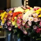 Business 3 image FLOWERS BY DOROTHY Shopping in Tipperary TA