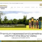 Business 7 image FORMAT.IE WEB DESIGN Web Developers in Sligo SO