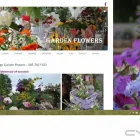 Business 9 image FORMAT.IE WEB DESIGN Web Developers in Sligo SO