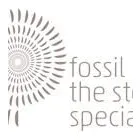 Business 1 image FOSSIL STONE SPECIALIST Real Estate & Home Improvement in Dublin D