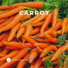 Business 16 image FRESH FOOD CO EU Fruit & Vegetable Merchants & Markets in Dublin D