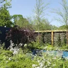 Business 1 image GREEN SHOOTS GARDEN DESIGN Real Estate & Home Improvement in Dublin IE


