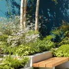 Business 5 image GREEN SHOOTS GARDEN DESIGN Real Estate & Home Improvement in Dublin IE


