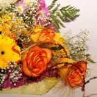 Business 3 image INTERIOR PLANTS Shopping in Dublin IE


