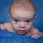 Business 2 image JANSSEN PHOTOGRAPHY Photography Studios & Labs in Bray WW