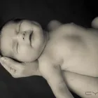 Business 7 image JANSSEN PHOTOGRAPHY Photography Studios & Labs in Bray WW