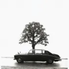 Business 2 image JP WARD & SONS Travel & Tourism in Bray WW