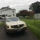 Business 1 image KPCD LIMOS DUBLIN Travel & Tourism in Dublin IE


