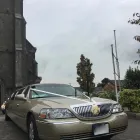 Business 2 image KPCD LIMOS DUBLIN Travel & Tourism in Dublin IE


