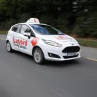 Business 1 image LADYBIRD DRIVING SCHOOL DUBLIN Education in Dublin IE


