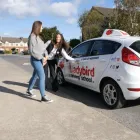 Business 3 image LADYBIRD DRIVING SCHOOL DUBLIN Education in Dublin IE


