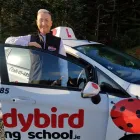 Business 5 image LADYBIRD DRIVING SCHOOL DUBLIN Education in Dublin IE



