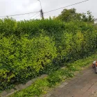 Business 2 image LEAF2LEAF LANDSCAPES Landscape Gardeners & Contractors in Dublin D