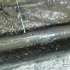 Business 2 image LEAKSIRELAND.COM Septic Tank Cleaning & Maintenance in Donegal DL