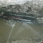 Business 3 image LEAKSIRELAND.COM Septic Tank Cleaning & Maintenance in Donegal DL