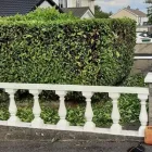 Business 1 image LOCAL CHOICE GARDENING AND PROPERTY CLEANING SERVICES Garden - Maintenance/services in Dublin D