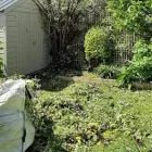 Business 3 image LOCAL CHOICE GARDENING AND PROPERTY CLEANING SERVICES Garden - Maintenance/services in Dublin D