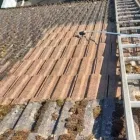 Business 4 image LOCAL CHOICE GARDENING AND PROPERTY CLEANING SERVICES Garden - Maintenance/services in Dublin D