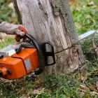 Business 5 image LOCAL CHOICE GARDENING AND PROPERTY CLEANING SERVICES Garden - Maintenance/services in Dublin D